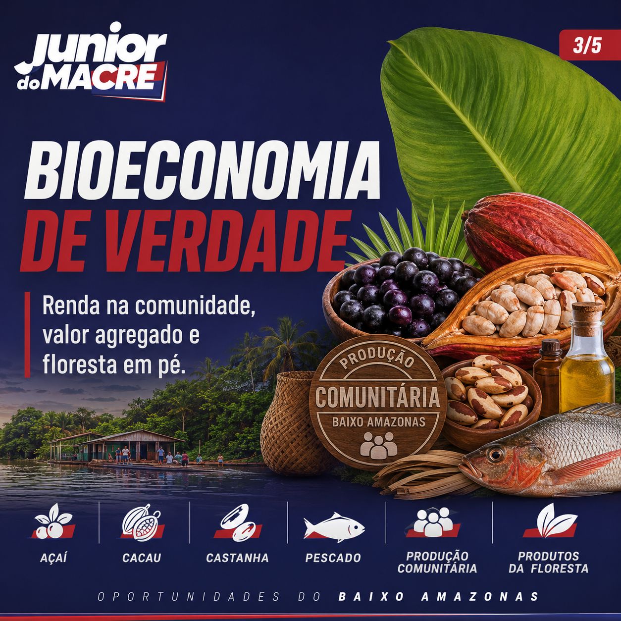 Imagem 3 — Baixo Amazonas