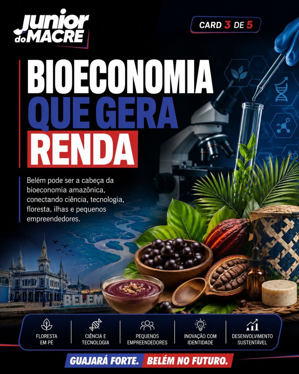 Imagem 3 — Guajará/Região Metropolitana