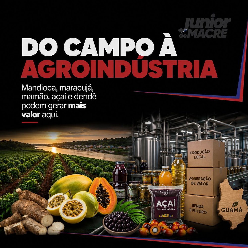 Imagem 3 — Guamá