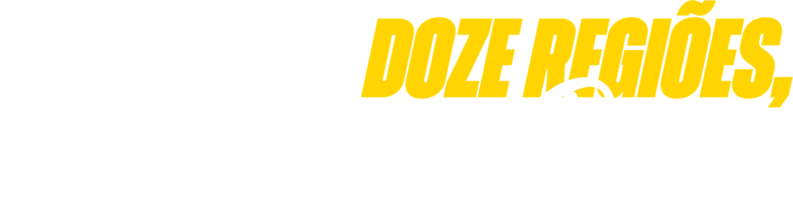 Um plano, doze regiões, um novo Pará