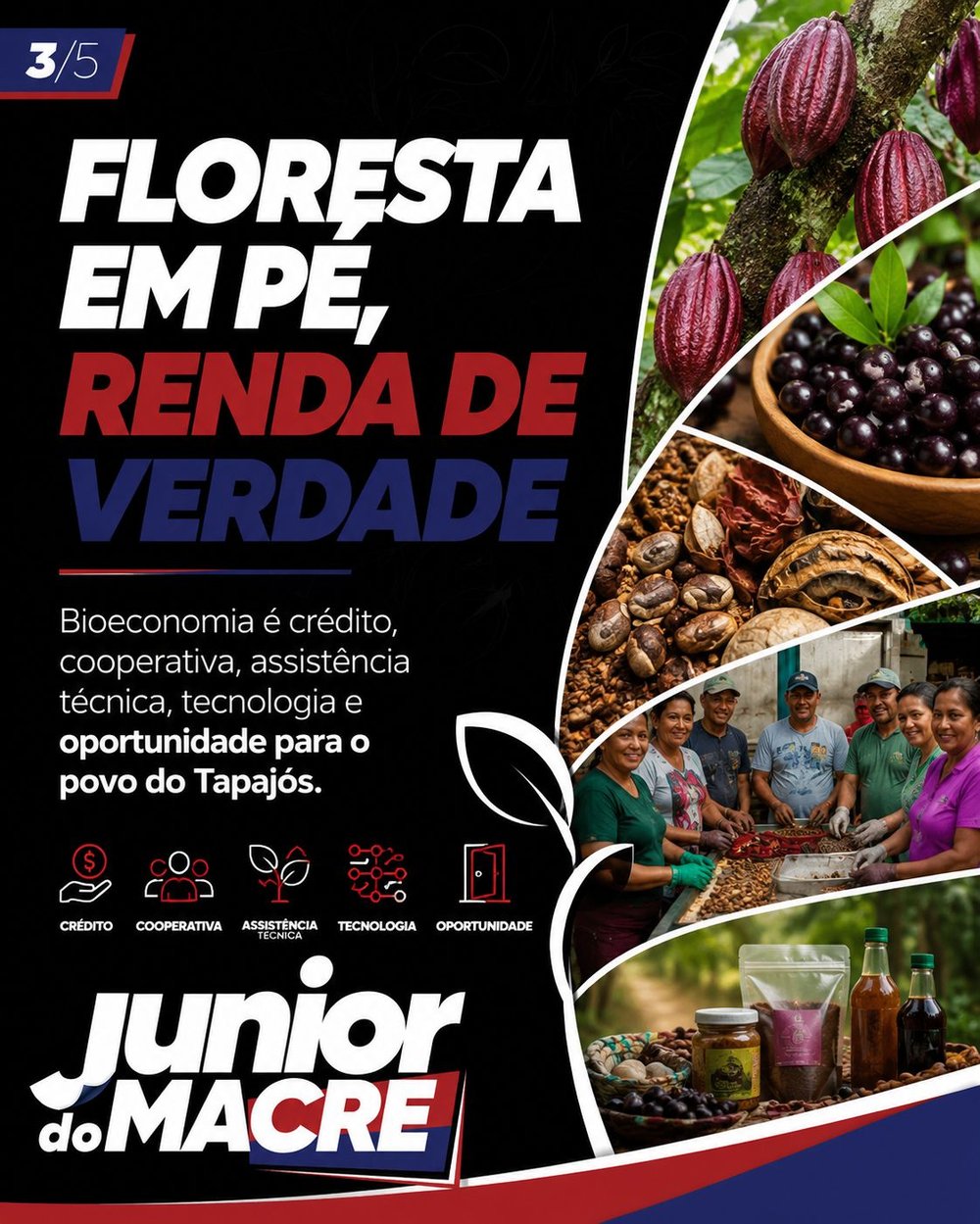 Imagem 3 — Tapajós