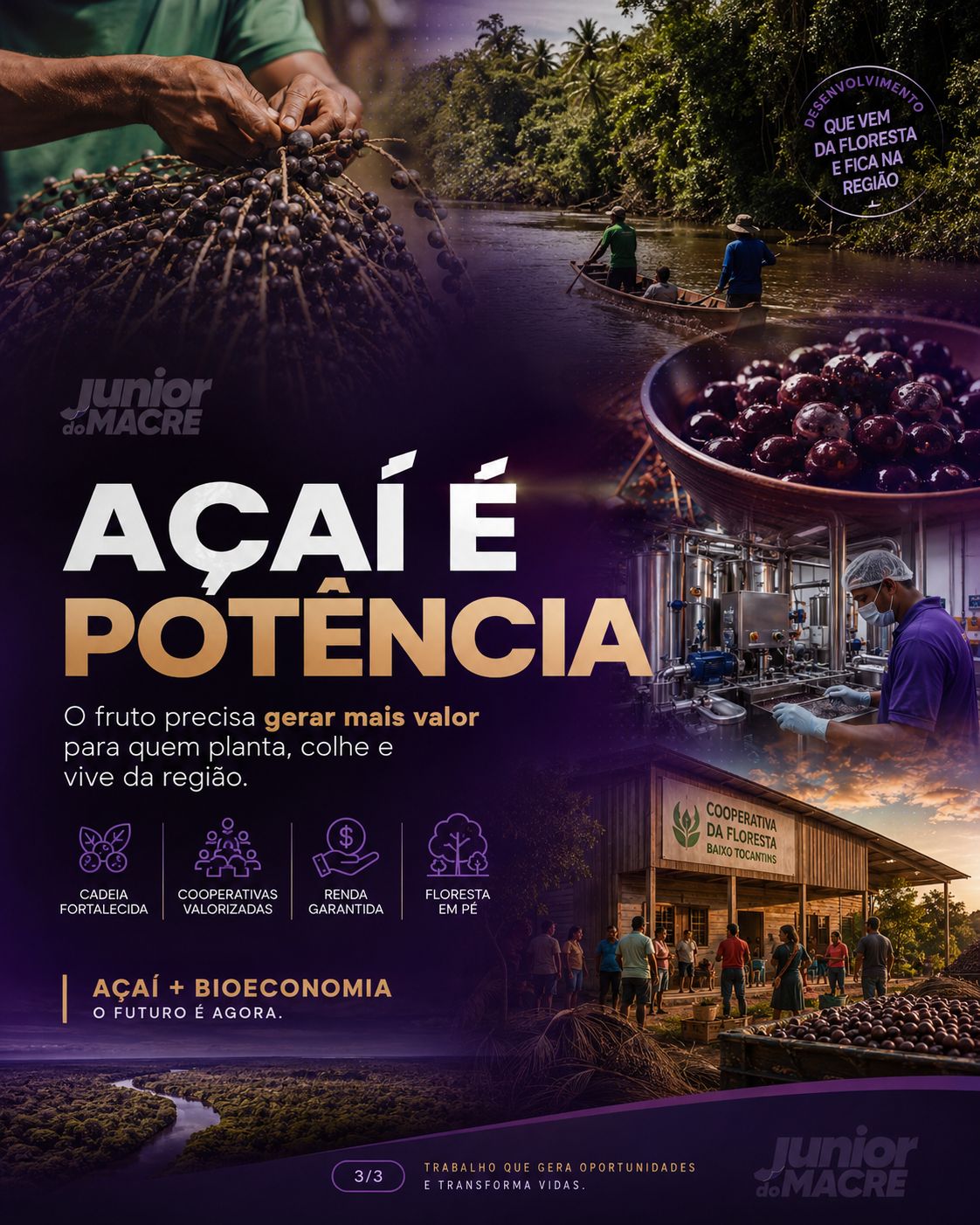 Imagem 3 — Tocantins